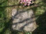 image of grave number 62466